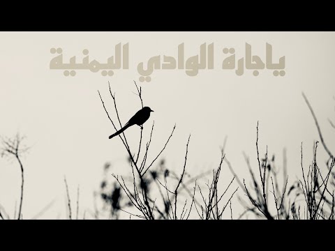 ياجارة الوادي اليمنية أحمد علي سليمان