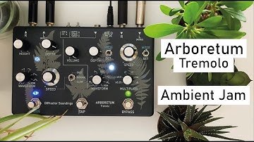 Diffractor Soundings - Ambient jam with the Arboretum Tremolo (Stereo Demo)