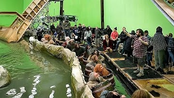 The Hobbit: The Desolation of Smaug - Behind the Scenes, VFX & CGI Breakdowns