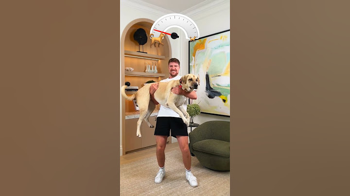 @MrBeast holding bigger and bigger dogs