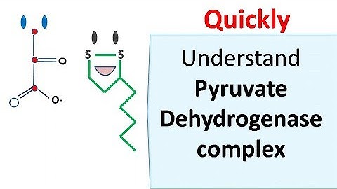 Pyruvate dehydrogenase complex