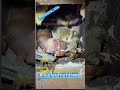 Schmetterlinge im Bauch !