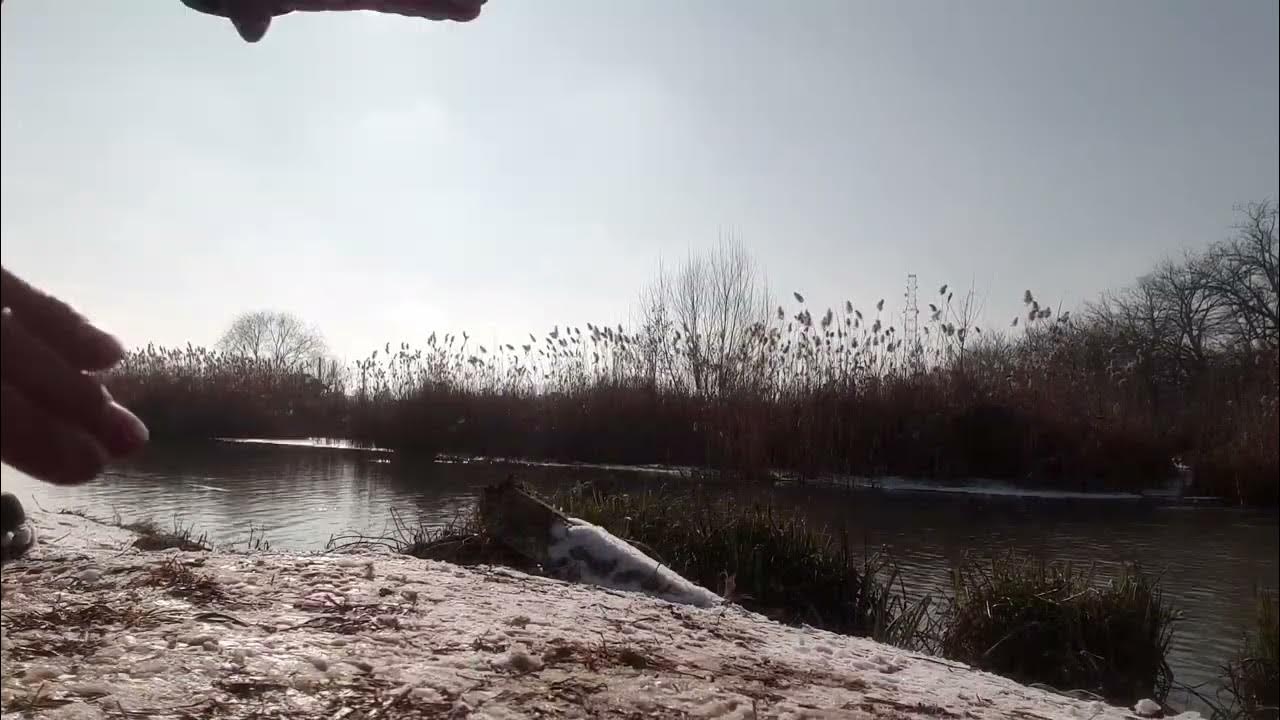 PLĂTICA ! - YouTube