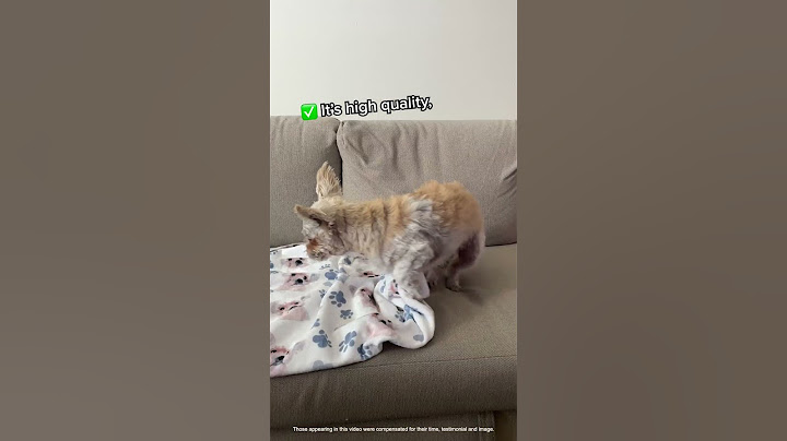 MyPetPrints Custom, Personalized Pet Blanket - Dog or Cat Blanket