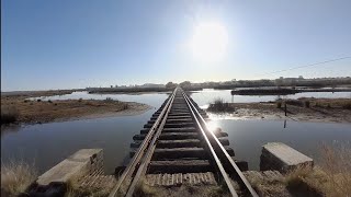 MIRA DONDE PESCAMOS ! Pesca y cocina en arroyo las garzas