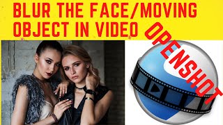 How to censor the face or moving object in the video using Openshot screenshot 5