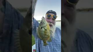Fish On Baby that will make a ginormous sandwich