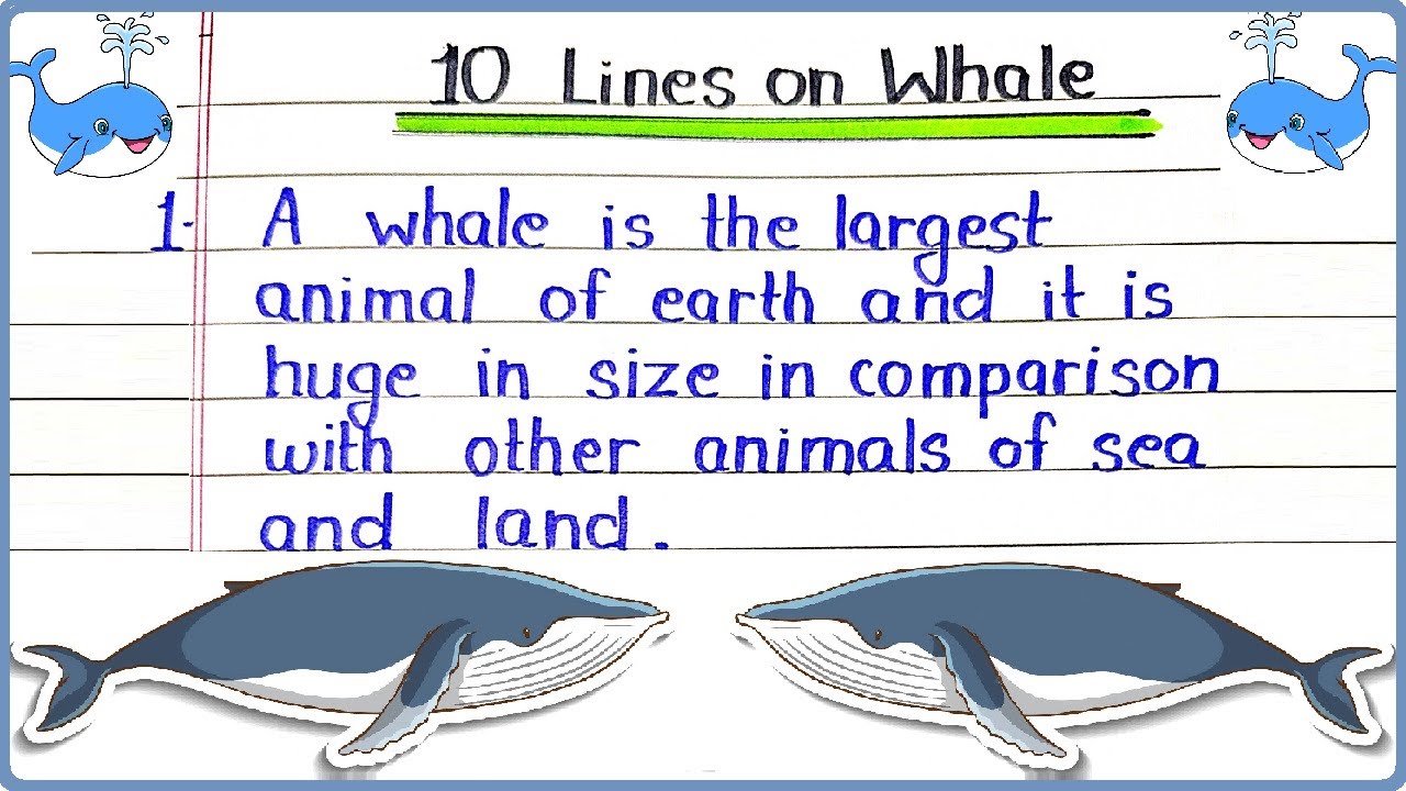 the whale elies essay