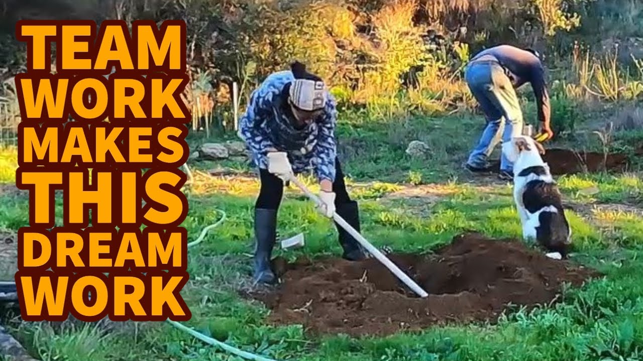 Living the dream, planting trees and farm maintenance Life in