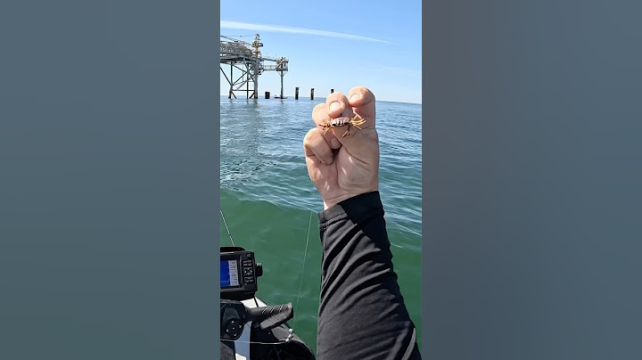 I used a FAKE Crab Offshore to Catch my Dinner!!