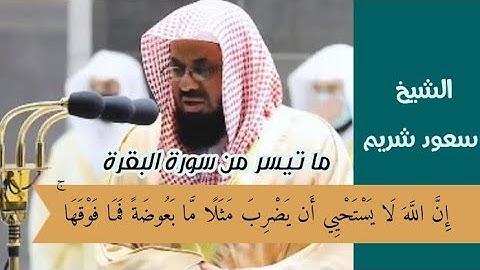 " إن الله لا يستحيي أن يضرب مثلا ما بعوضة فما فوقها " الشيخ سعود الشريم في تلاوة مؤثرة لسورة البقرة