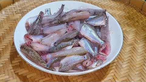 ĐỪNG CHO MUỐI VÀO TRỰC TIẾP ĐỂ MUỐI CÁ làm cách này cá thấm điều vừa khẩu vị từng người