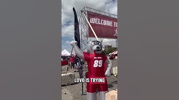 Lobos home attendance moving forward #golobos