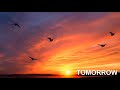 TOMORROW/岡本真夜