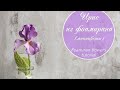 Ирисы из фоамирана (миницветы)/  Foamiran iris  tutorial (miniflowers)