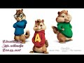 RAYYVANY MBELEKO Chipmunk Version 