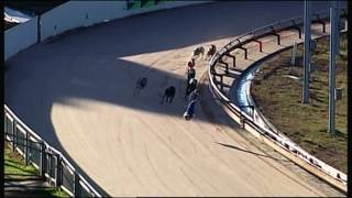 BEN FRI 21 JUL 17 R4