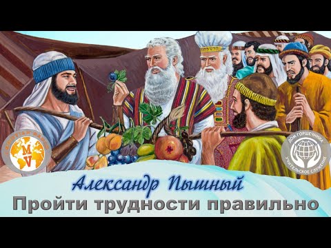 Александр Пышный - Пройти трудности правильно.