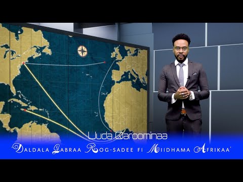 ForX Entertainment Qophii Uuda Qaroominaa Daldala Garbaa Rog Sadee Fi Miidhaa Isaa