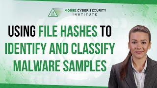Using file hashes to identify and classify malware samples