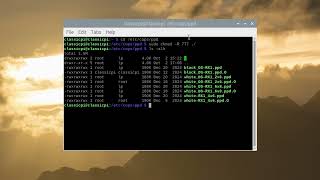 How to make a Raspberry Pi  print server to print 2 by 6 strips on a DNP RX1 Printer.