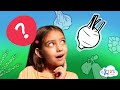Vegetable Identification and Characteristics