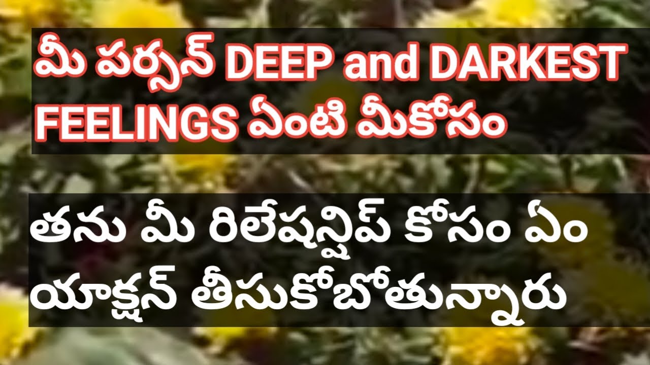 💯❤మీ పర్సన్ deep and darkest feelings ఏంటి మీకోసం తెలుసుకోండి.