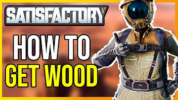 Hoe je hout krijgt dat aan de eisen voldoet (Snelle handleiding)
