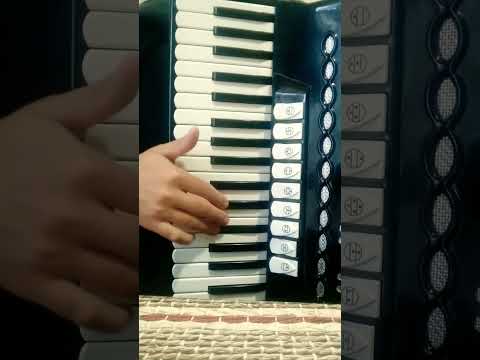 Hedwig's theme accordion