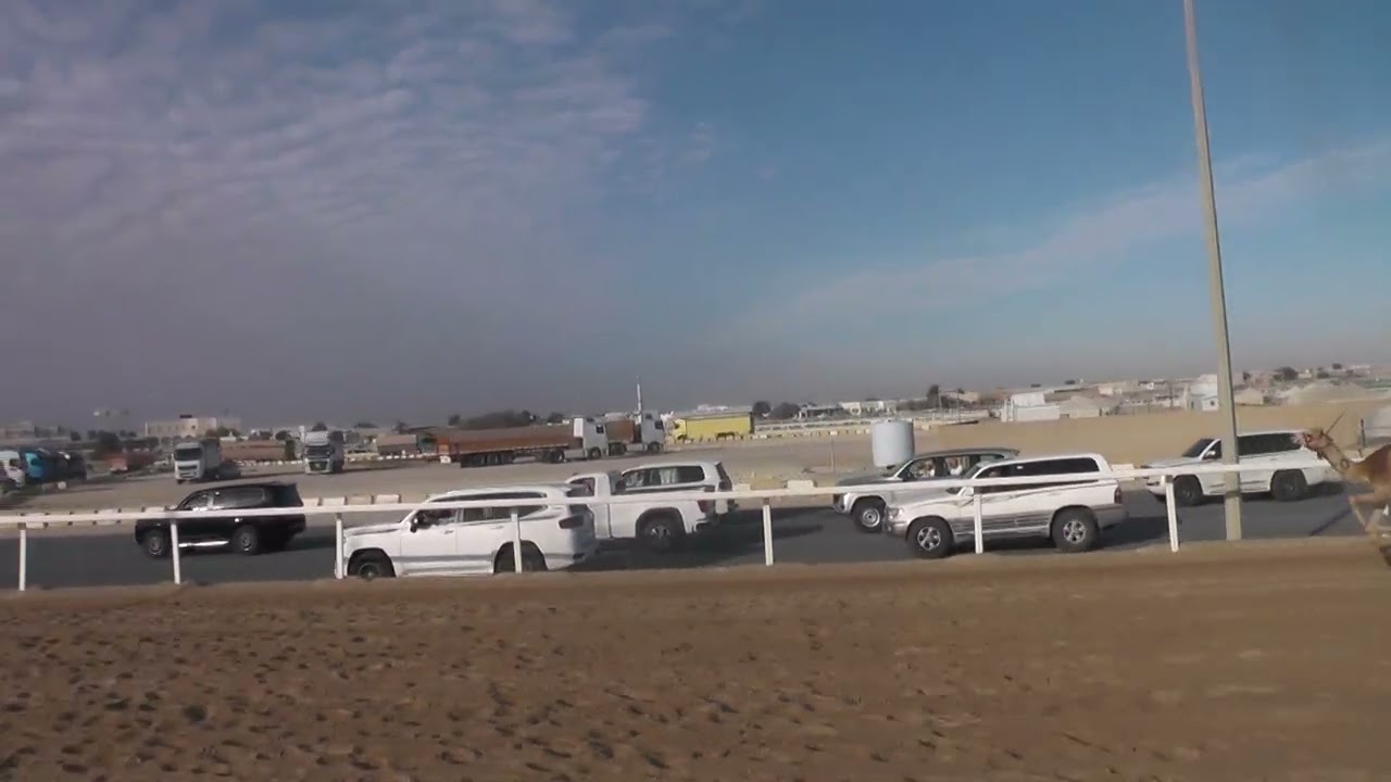 ش13/ صعوب / بكار / الشاهينية / محمد المري  /01:54:00