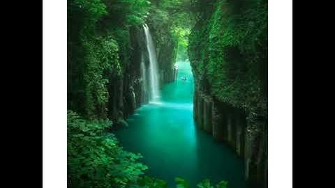 سورة "النبأ "بصوت القارئ: محمد عبد الحكيم هائل