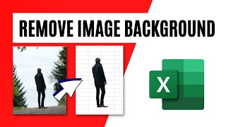 How To Remove Image Background in Excel