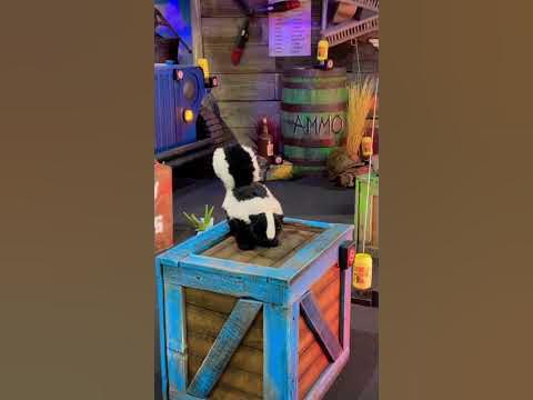 FUNNY SPRAYING SKUNK 🦨 #skunks #funny #targetshooting #funnyvideo #