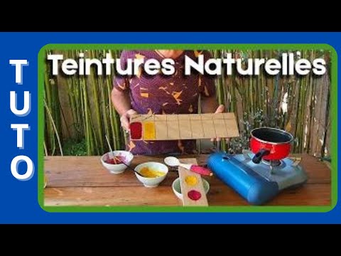 La Teinture sur bois naturelle et alimentaire  - Curcuma / Prunelle