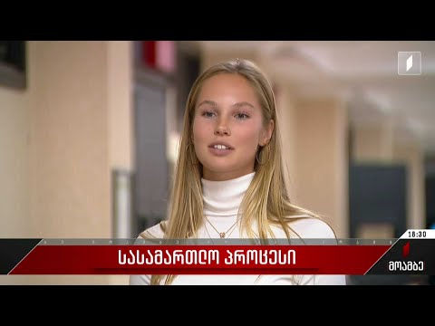 ნიკოლოზ ბასილაშვილის საქმის განხილვა დაცვის მხარის მოწმეების დაკითხვით გრძელდება