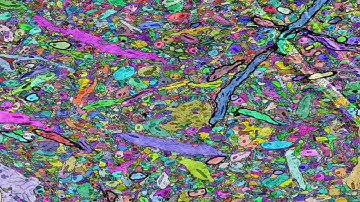 Harvard computer system fuels our understanding of the brain