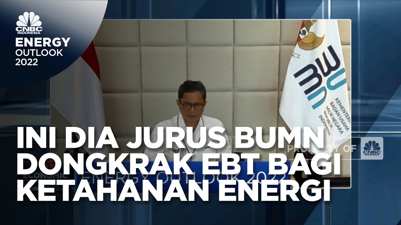 Jurus BUMN Genjot Kontribusi EBT Bagi Ketahanan Energi Nasional