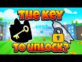 Is this the KEY to Unlock the Cat Hoverboard in Pet Simulator X