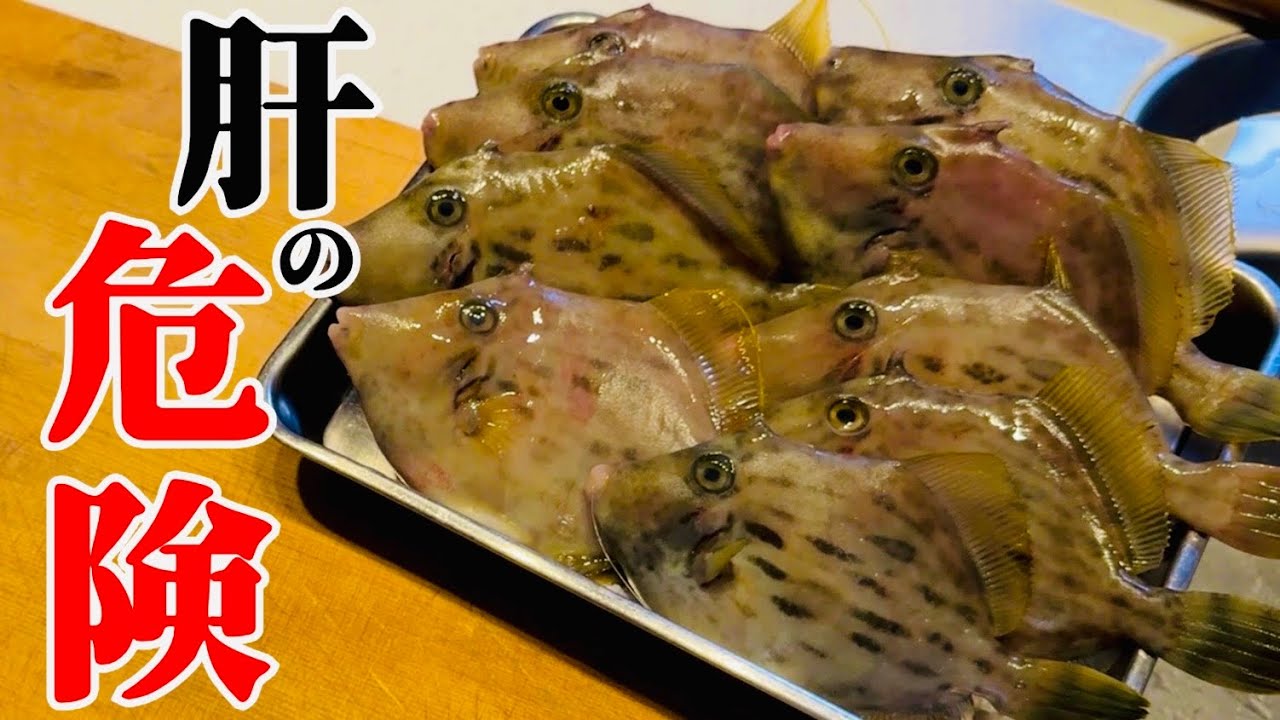 【カワハギ】皮は剥がない方が簡単に捌けます。