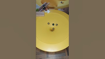 🐢🐢🐢 Epic Marble Race | oddlysatisfying | Marbles Run Race ASMR | Haba | Funnel | Jungle | chrome 🐢🐢