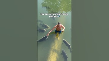 🌎Never miss a fishing opportunity again with the PocketRod🎣 #fishing #fishingvideo #shorts