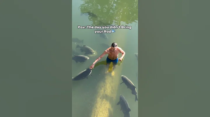 🌎Never miss a fishing opportunity again with the PocketRod🎣 #fishing #fishingvideo #shorts