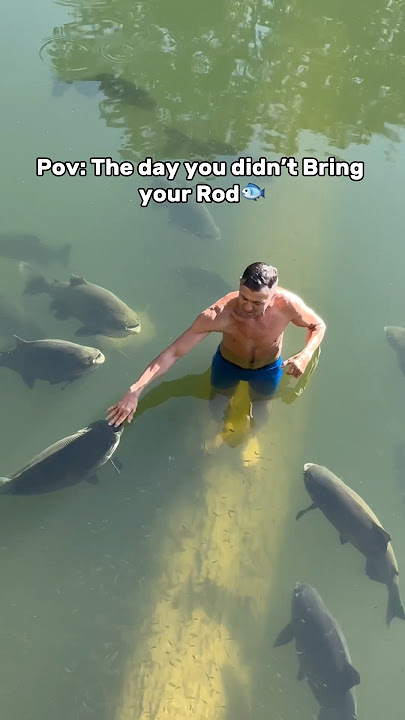 🌎Never miss a fishing opportunity again with the PocketRod🎣 #fishing #fishingvideo #shorts
