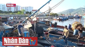 Ngư dân Đà Nẵng kiên trì bám biển sản xuất