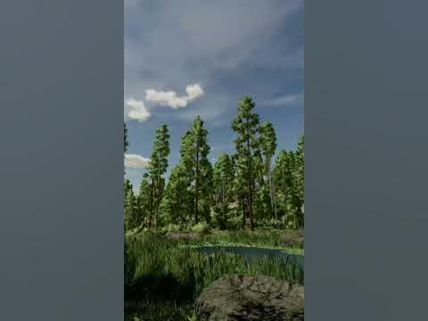 Blick auf einen Teich im Silverrun Forest LandwirtschaftsSimulator