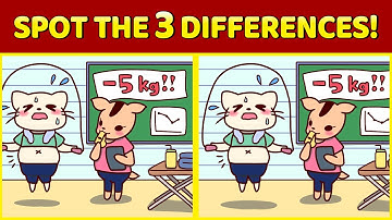 Spot The 3 Differences | Japanese Pictures #48