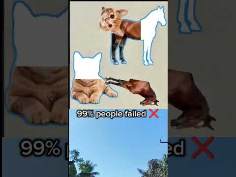 Animal challenge #viral #challenge #cat #cats #catvideos