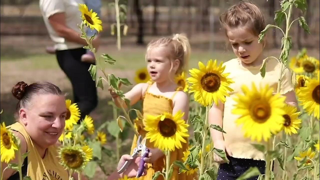 Murray Farm Gate Trail Eden Farm Produce YouTube