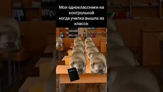 мем #memes #meme #shortsvideo #мем #мемы #подпишись #рекомендации #рек #хочуврек #реки #shorts#мемас