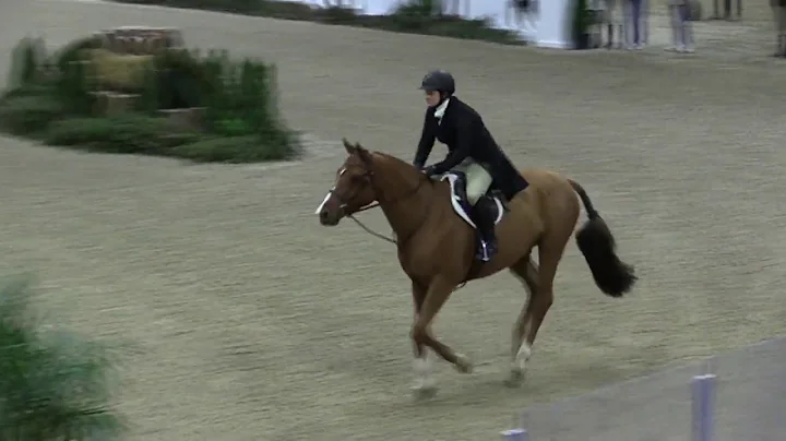Video of CALLAGHEN ridden by HEATHER A. PARISH fro...